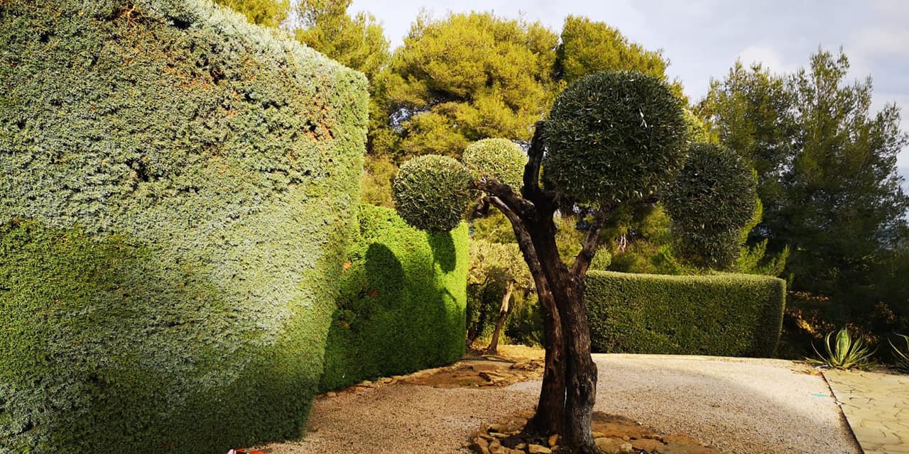 Taille de haies à Saint-Cyr-sur-Mer